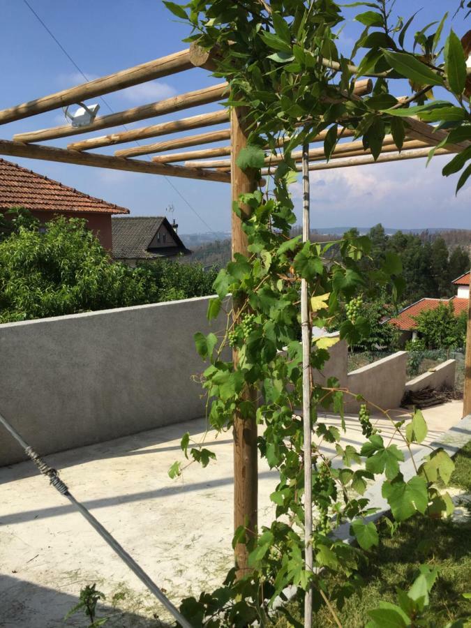 Vale Coelhos Casa De Campo Sarnadela Zewnętrze zdjęcie